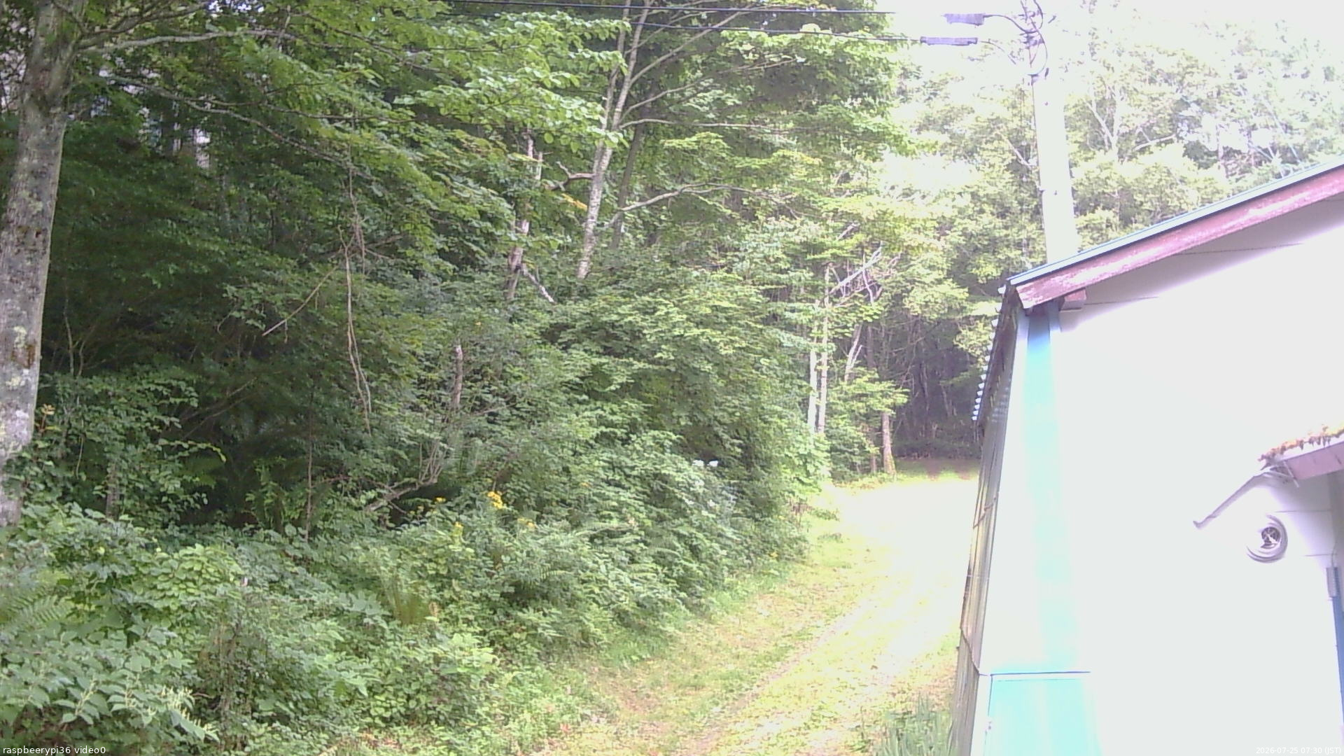 長野県菅平高原 ゆたか山荘 ゆたか山荘 2026/07/25 07:30