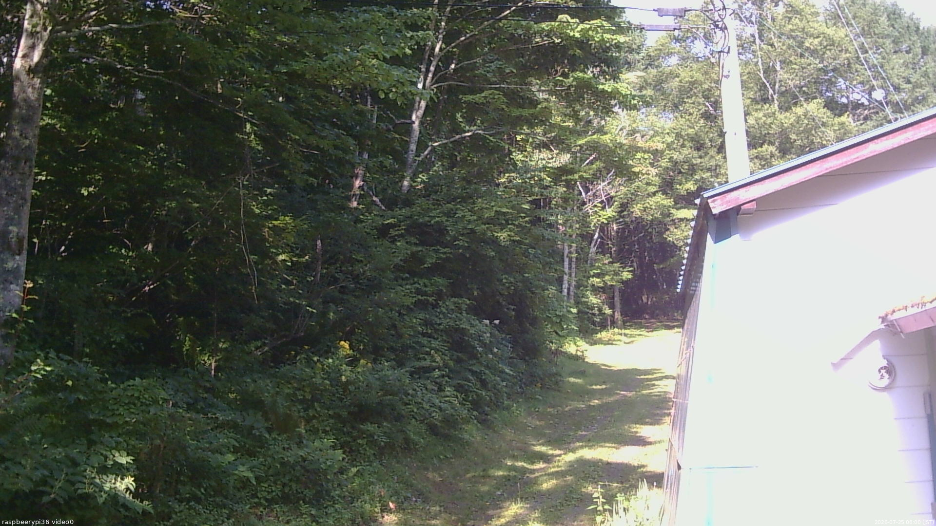 長野県菅平高原 ゆたか山荘 ゆたか山荘 2026/07/25 08:00