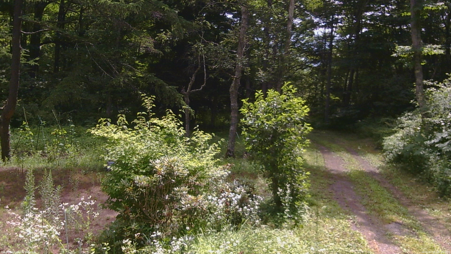 長野県菅平高原 ゆたか山荘 坂上 2026/07/25 09:45