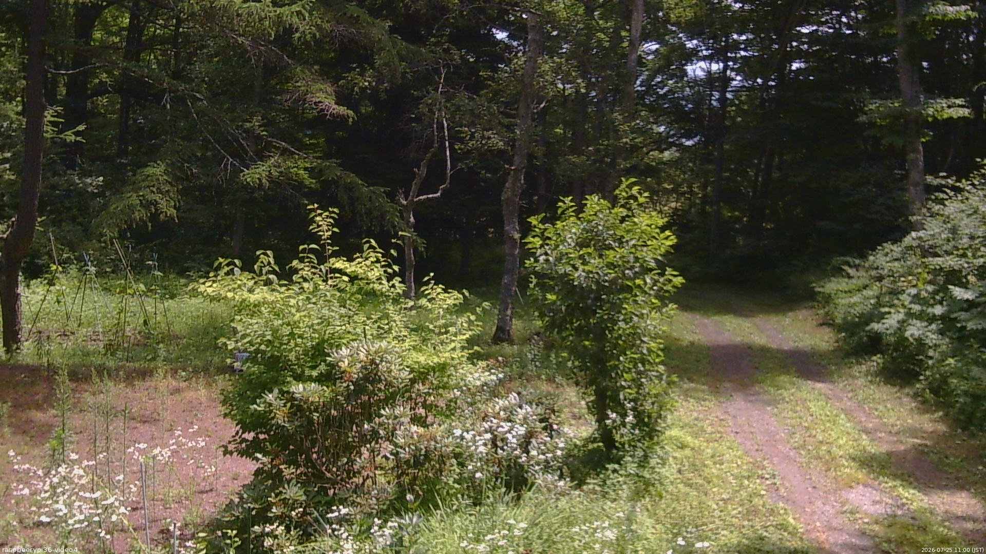 長野県菅平高原 ゆたか山荘 坂上 2026/07/25 11:00