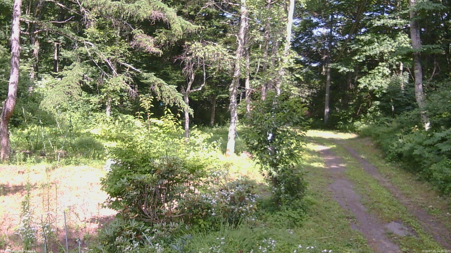 長野県菅平高原 ゆたか山荘 坂上 2026/07/25 14:15