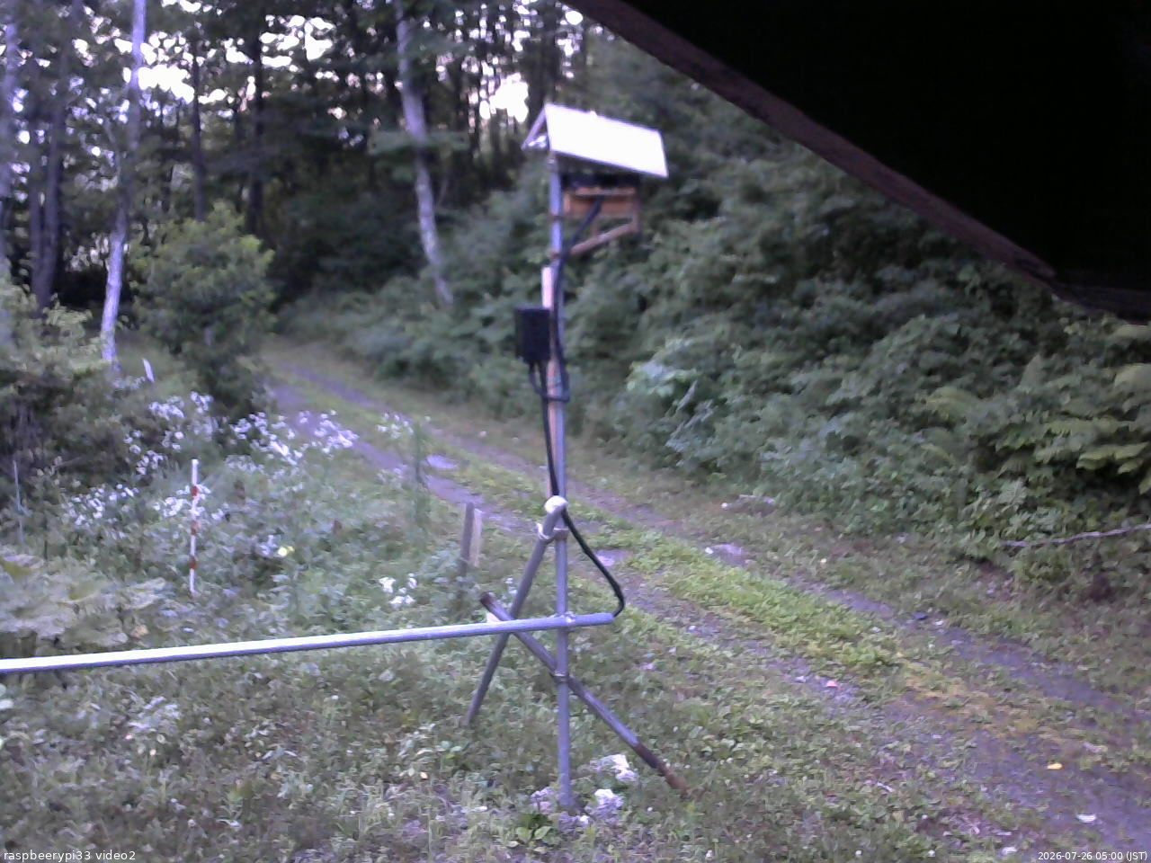 長野県菅平高原 ゆたか山荘 南側 2026/07/26 05:00