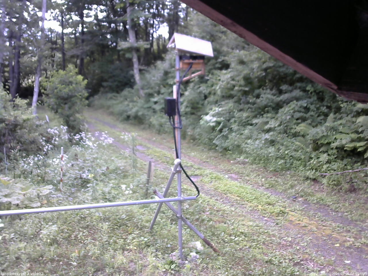 長野県菅平高原 ゆたか山荘 南側 2026/07/26 07:45