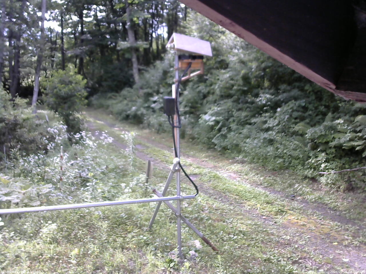長野県菅平高原 ゆたか山荘 南側 2026/07/26 08:00