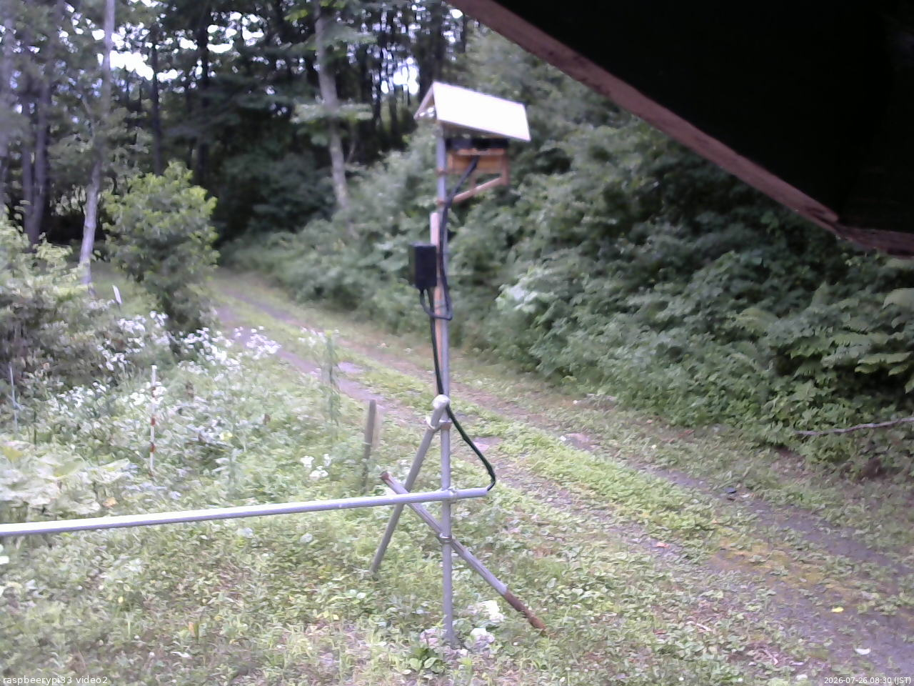 長野県菅平高原 ゆたか山荘 南側 2026/07/26 08:30