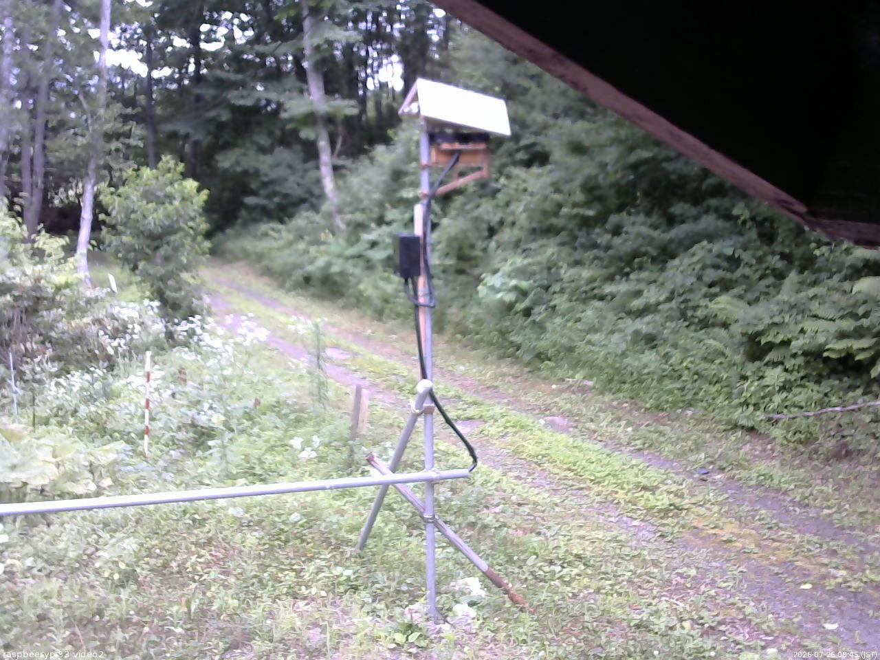 長野県菅平高原 ゆたか山荘 南側 2026/07/26 08:45