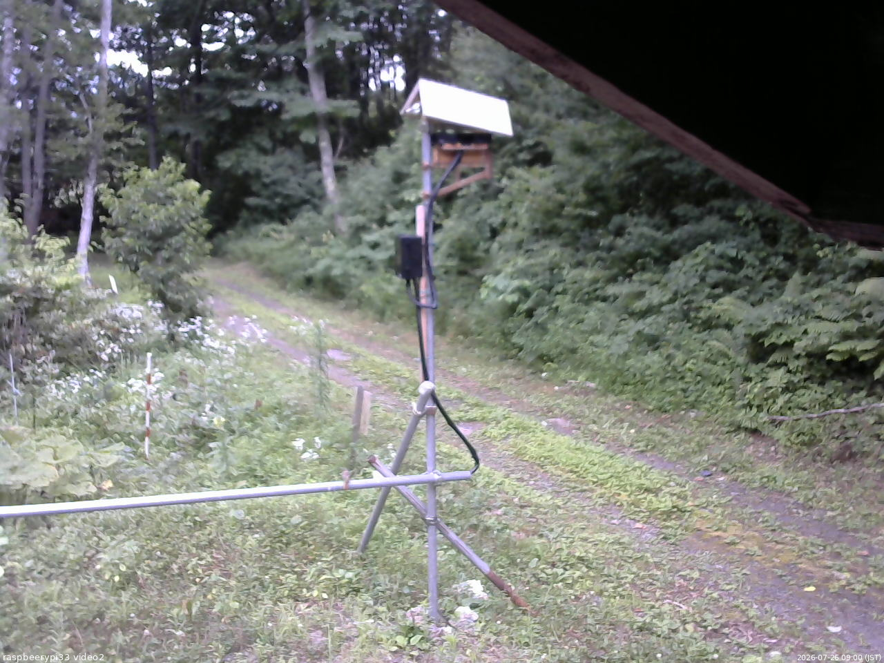 長野県菅平高原 ゆたか山荘 南側 2026/07/26 09:00