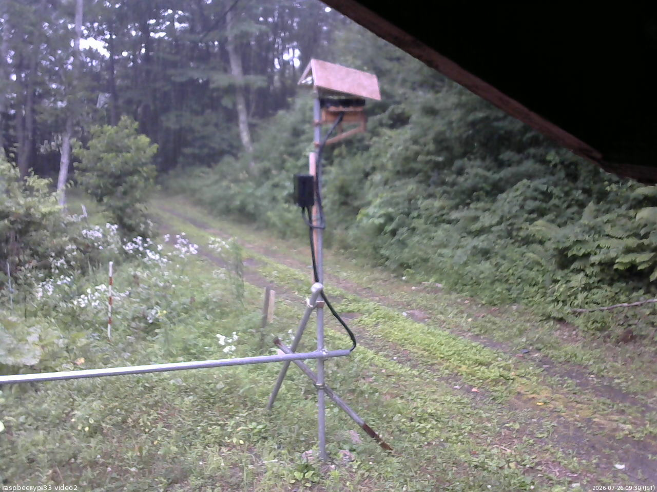 長野県菅平高原 ゆたか山荘 南側 2026/07/26 09:30
