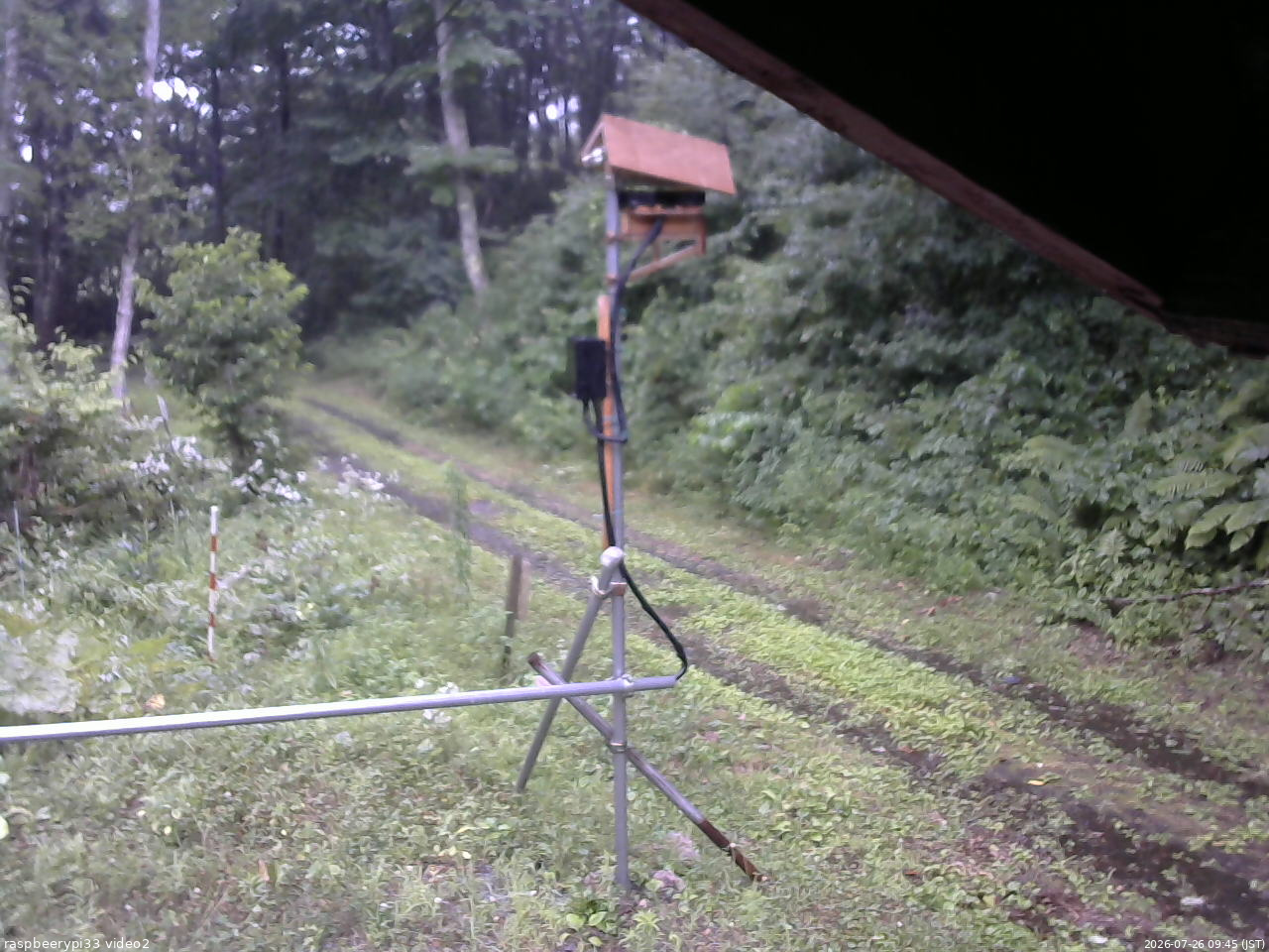長野県菅平高原 ゆたか山荘 南側 2026/07/26 09:45