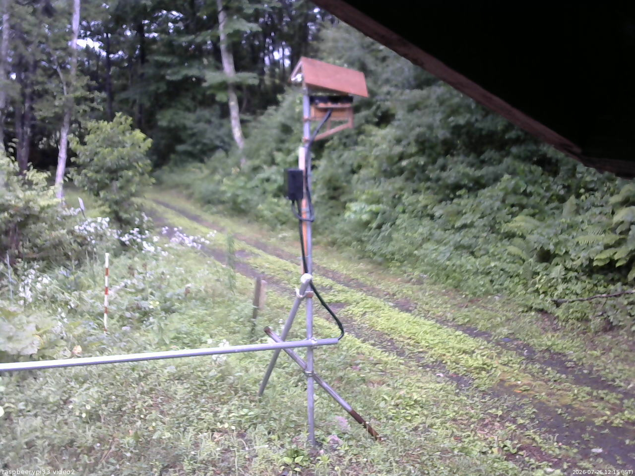 長野県菅平高原 ゆたか山荘 南側 2026/07/26 12:15