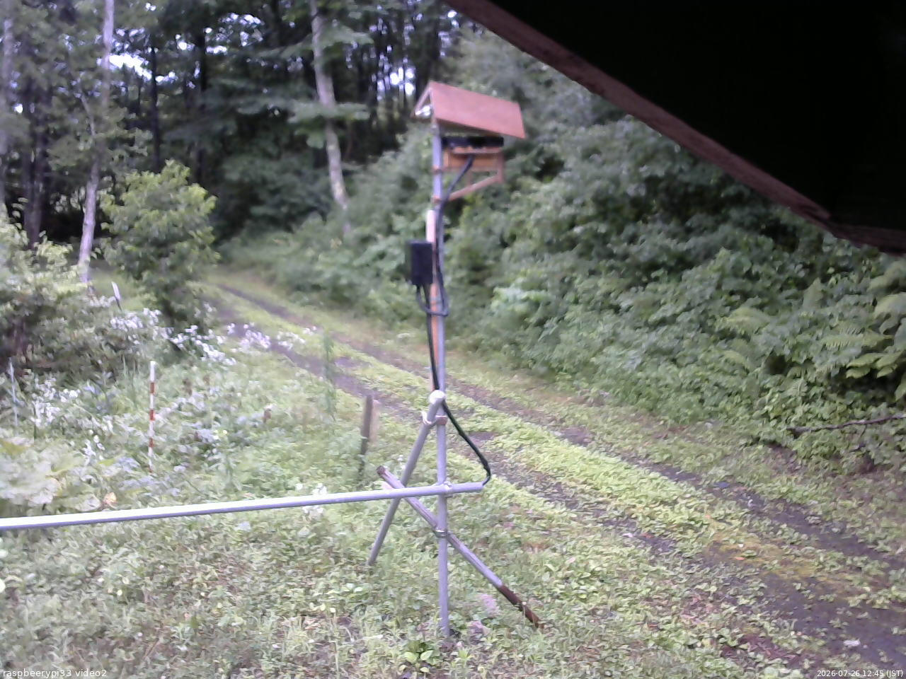 長野県菅平高原 ゆたか山荘 南側 2026/07/26 12:45