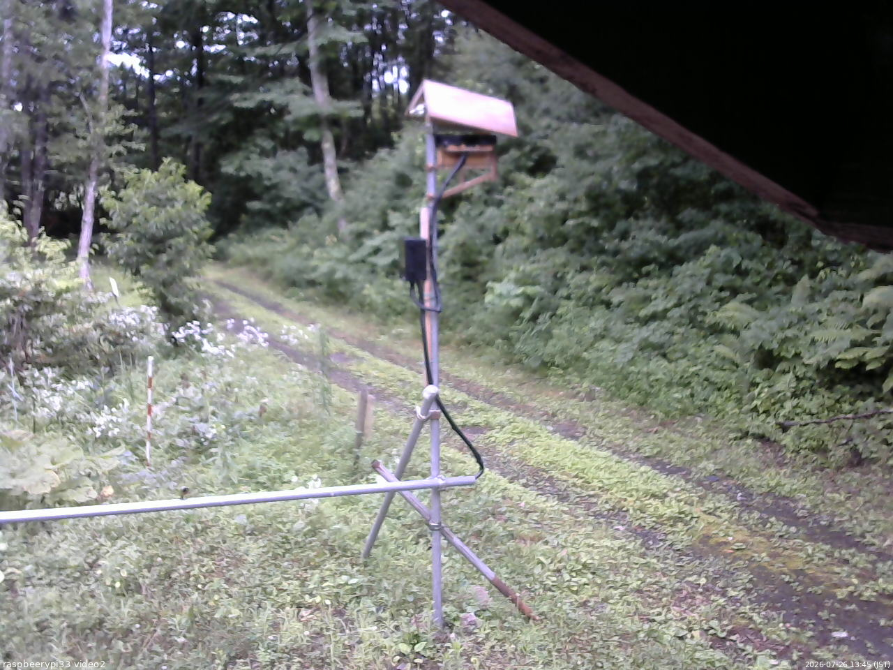 長野県菅平高原 ゆたか山荘 南側 2026/07/26 13:45