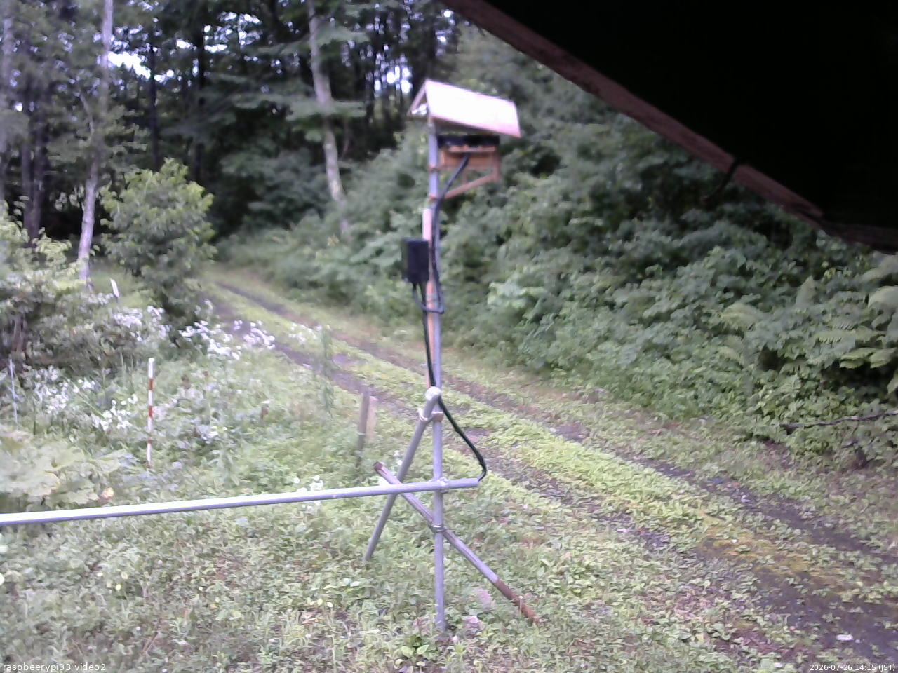長野県菅平高原 ゆたか山荘 南側 2026/07/26 14:15