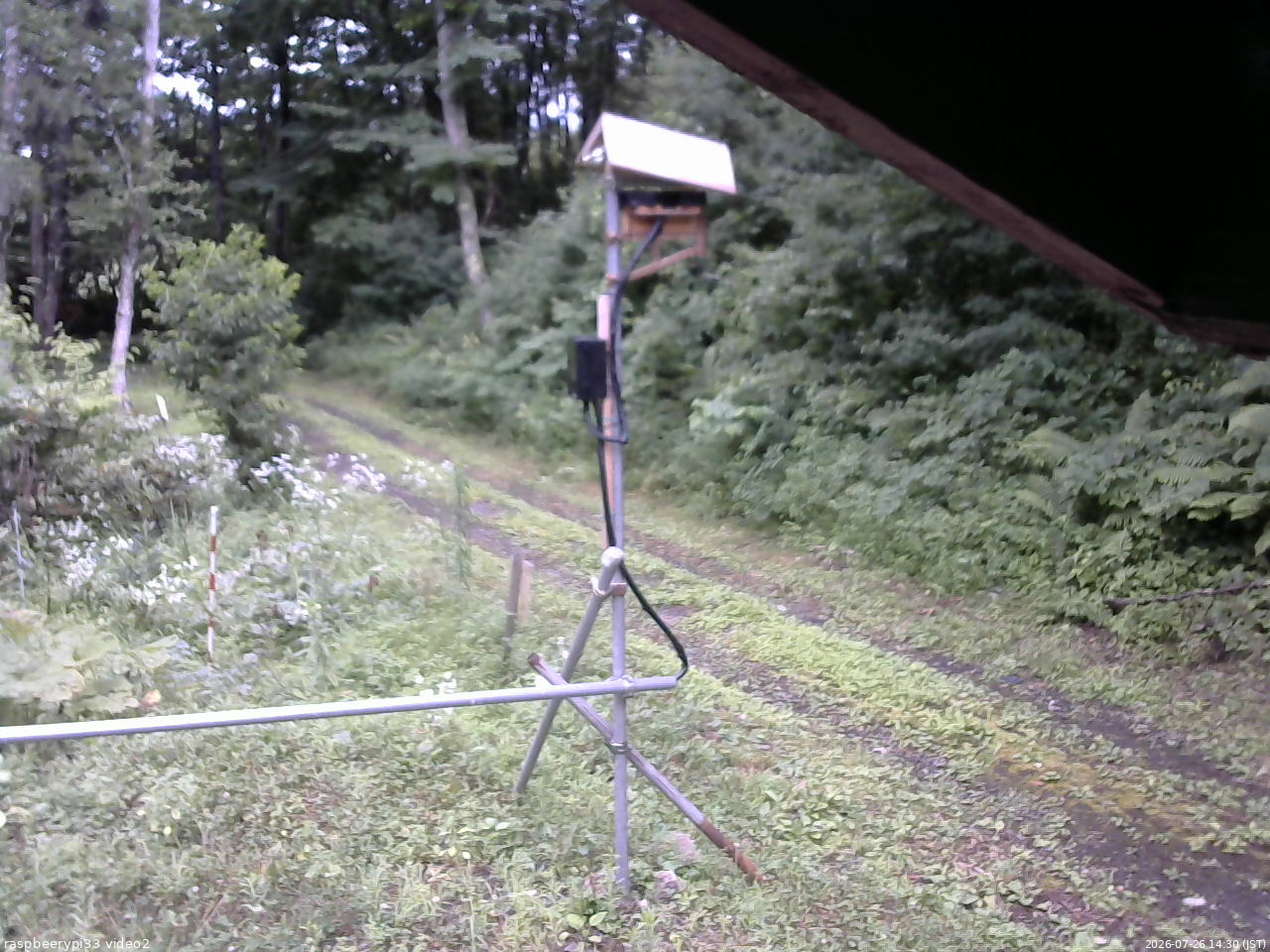 長野県菅平高原 ゆたか山荘 南側 2026/07/26 14:30