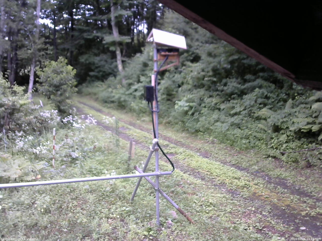長野県菅平高原 ゆたか山荘 南側 2026/07/26 14:45