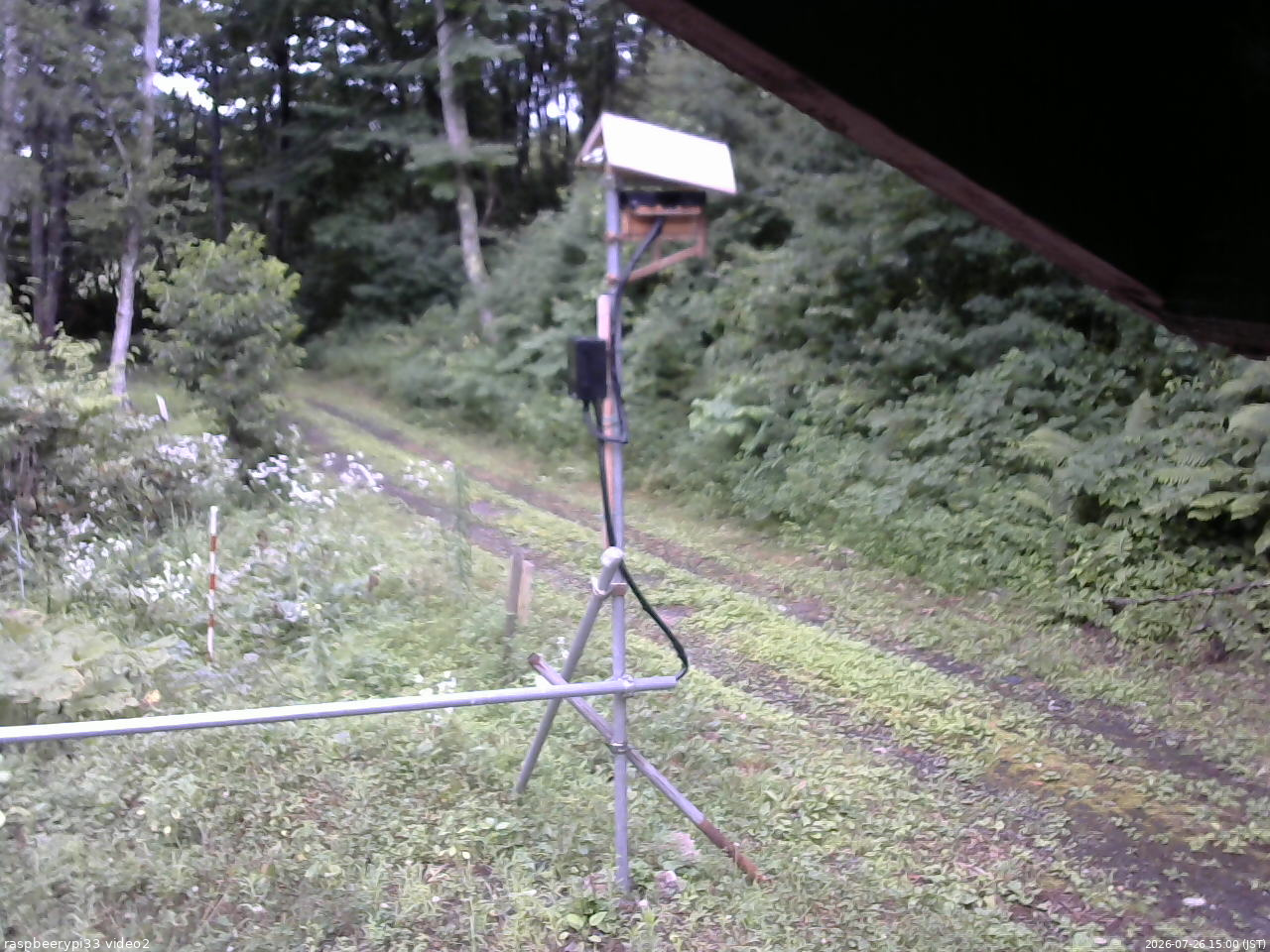 長野県菅平高原 ゆたか山荘 南側 2026/07/26 15:00
