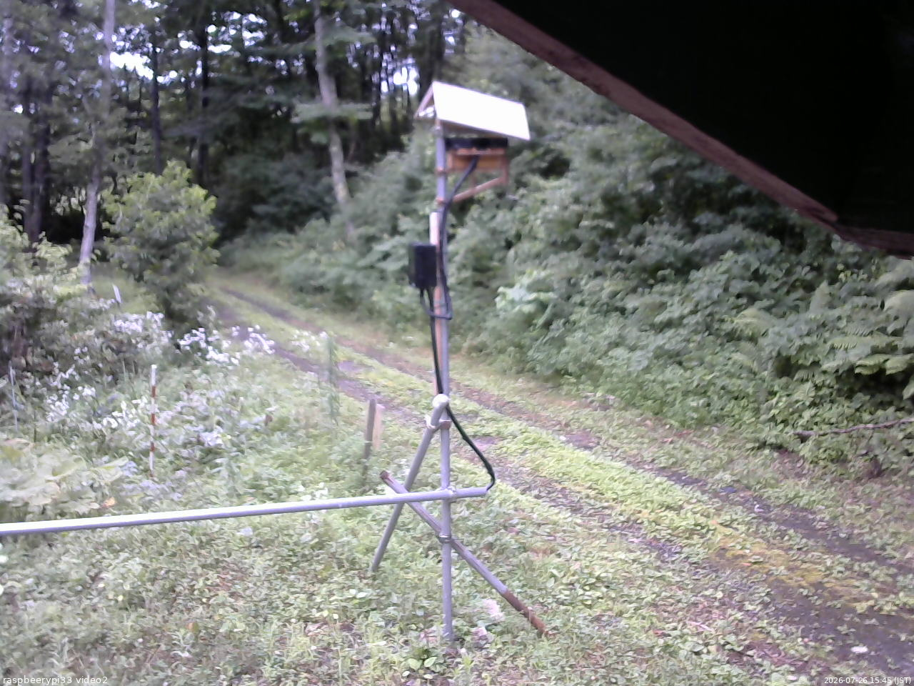 長野県菅平高原 ゆたか山荘 南側 2026/07/26 15:45