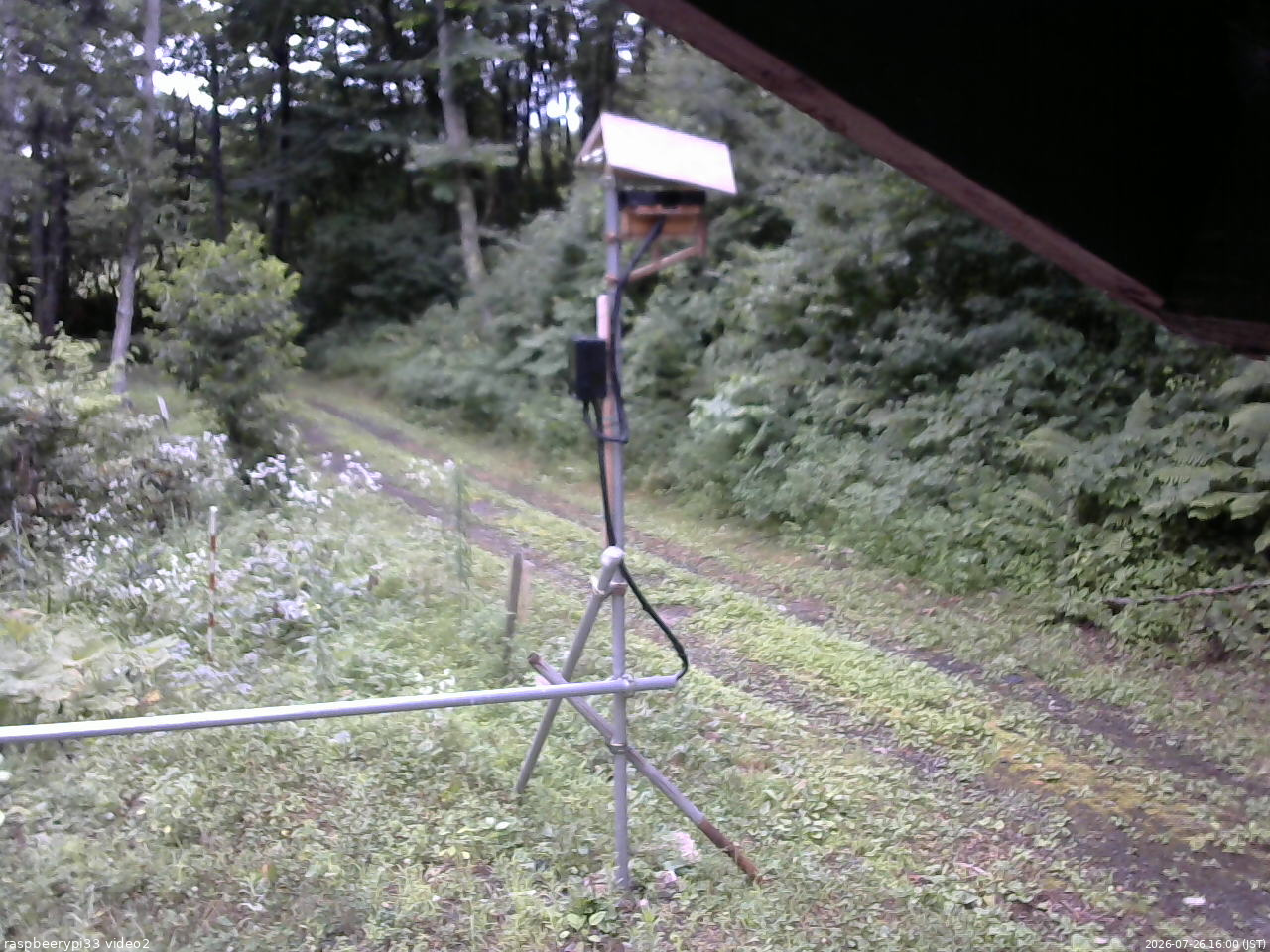 長野県菅平高原 ゆたか山荘 南側 2026/07/26 16:00