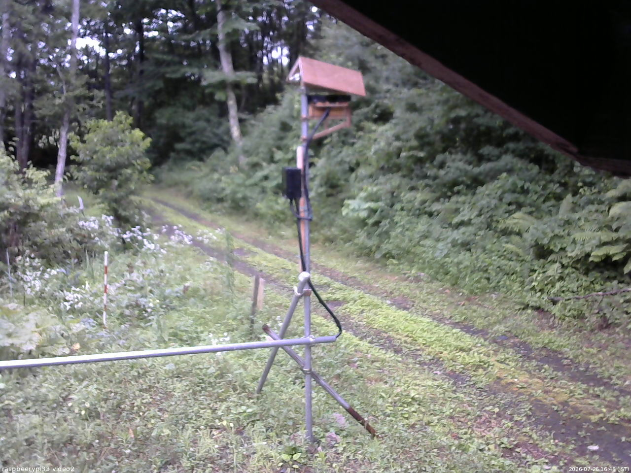 長野県菅平高原 ゆたか山荘 南側 2026/07/26 16:45