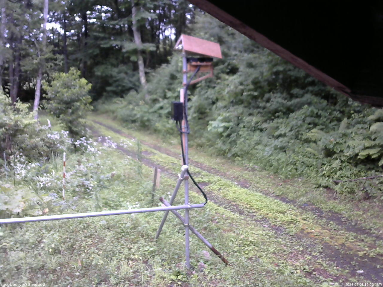 長野県菅平高原 ゆたか山荘 南側 2026/07/26 17:00