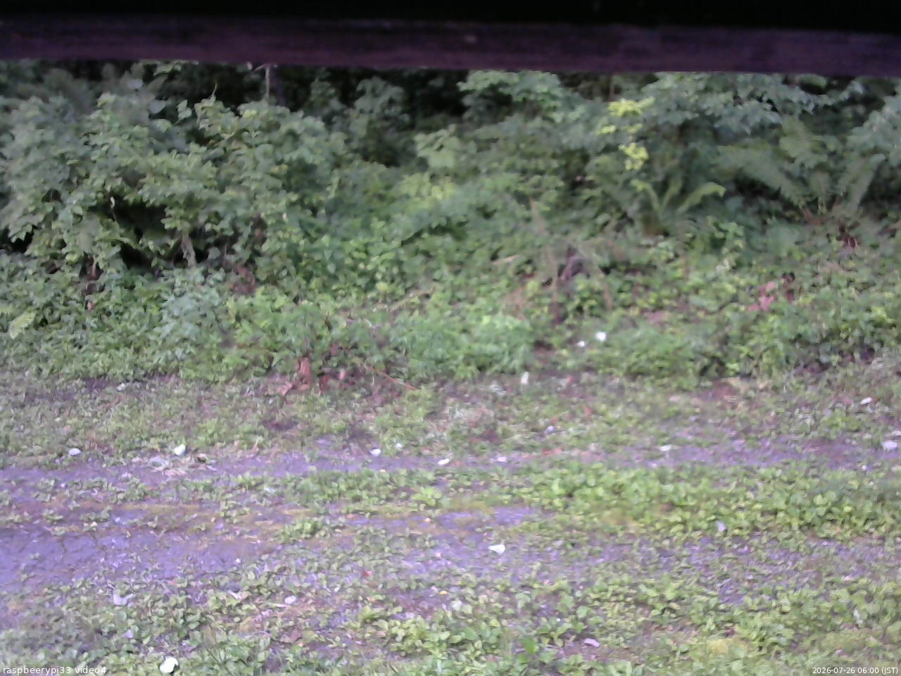 長野県菅平高原 ゆたか山荘 東側(坂下) 2026/07/26 06:00