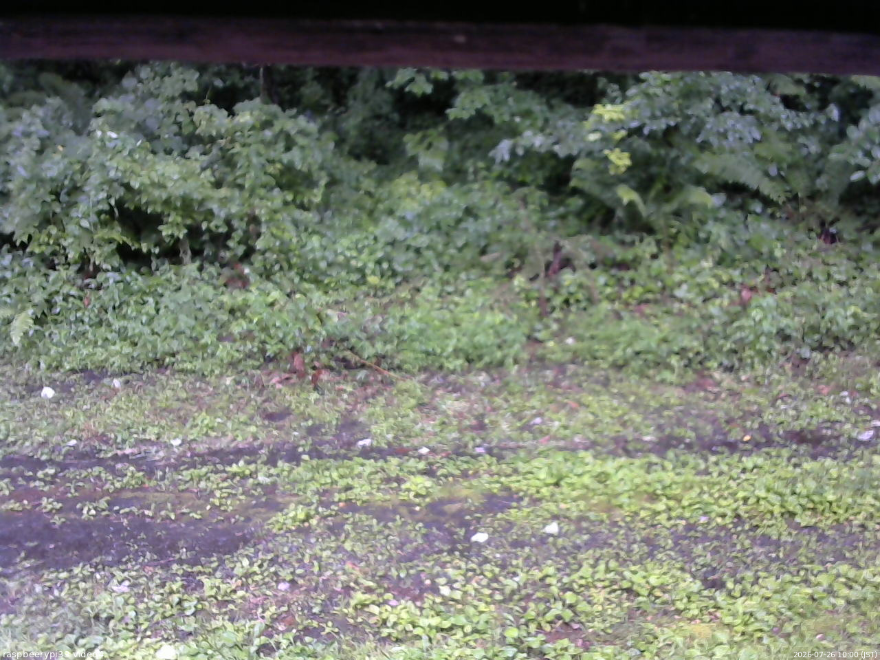 長野県菅平高原 ゆたか山荘 東側(坂下) 2026/07/26 10:00