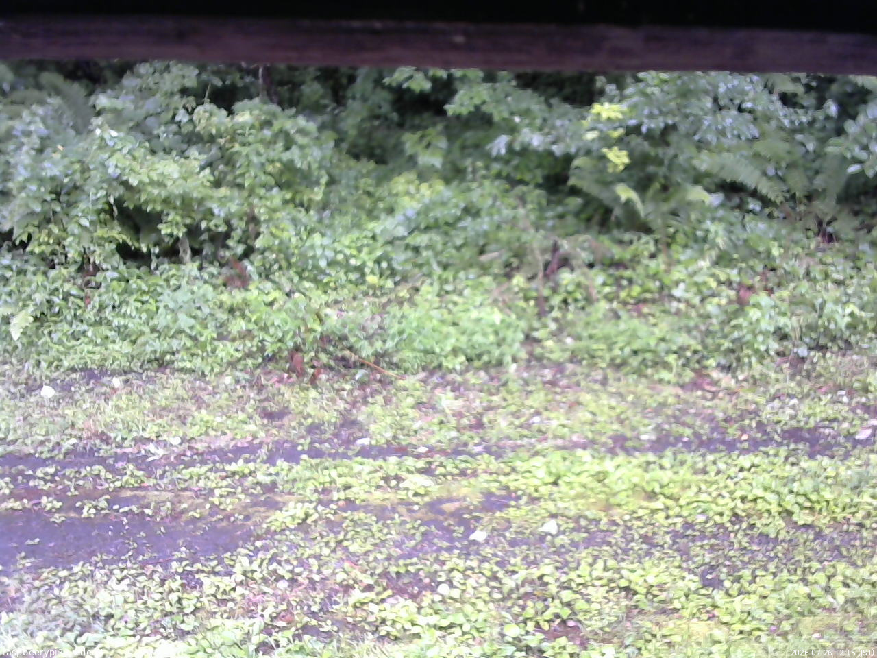 長野県菅平高原 ゆたか山荘 東側(坂下) 2026/07/26 12:15