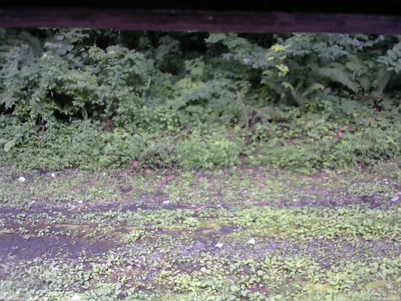 長野県菅平高原 ゆたか山荘 東側(坂下) 2026/07/26 16:00