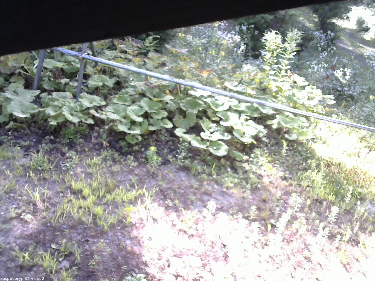 長野県菅平高原 ゆたか山荘 駐車場 2026/07/26 07:00