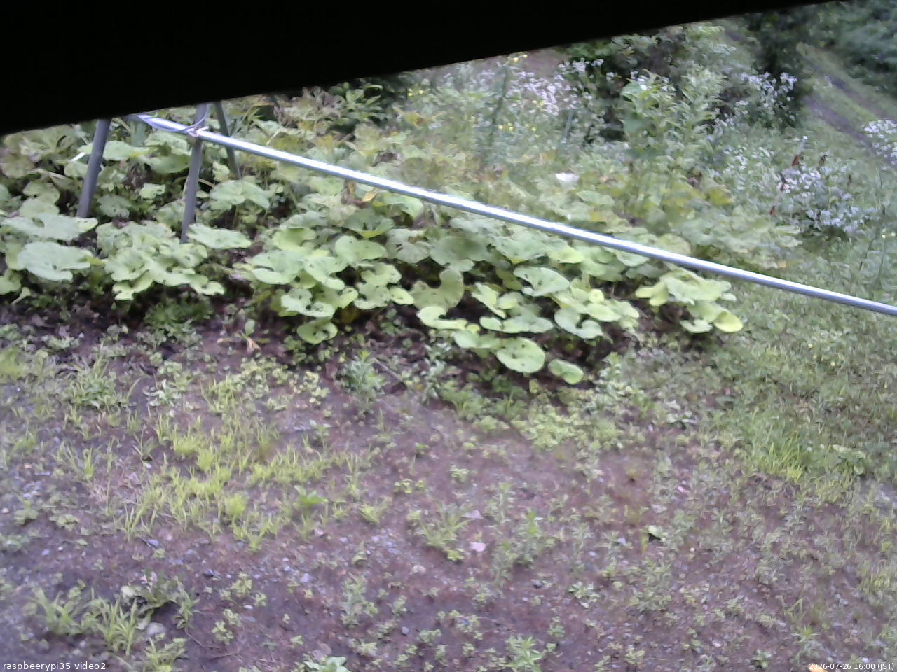 長野県菅平高原 ゆたか山荘 駐車場 2026/07/26 16:00