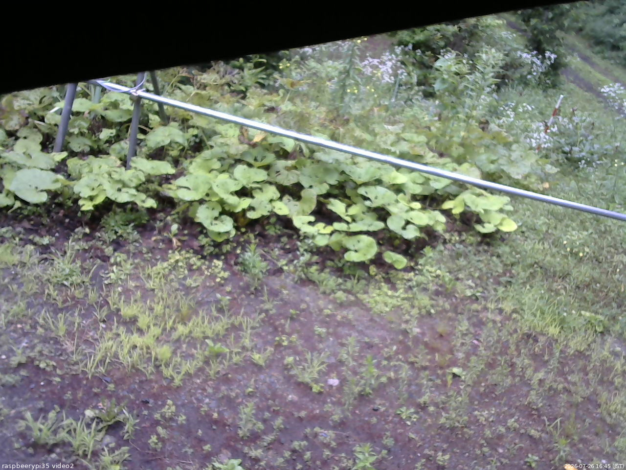 長野県菅平高原 ゆたか山荘 駐車場 2026/07/26 16:45