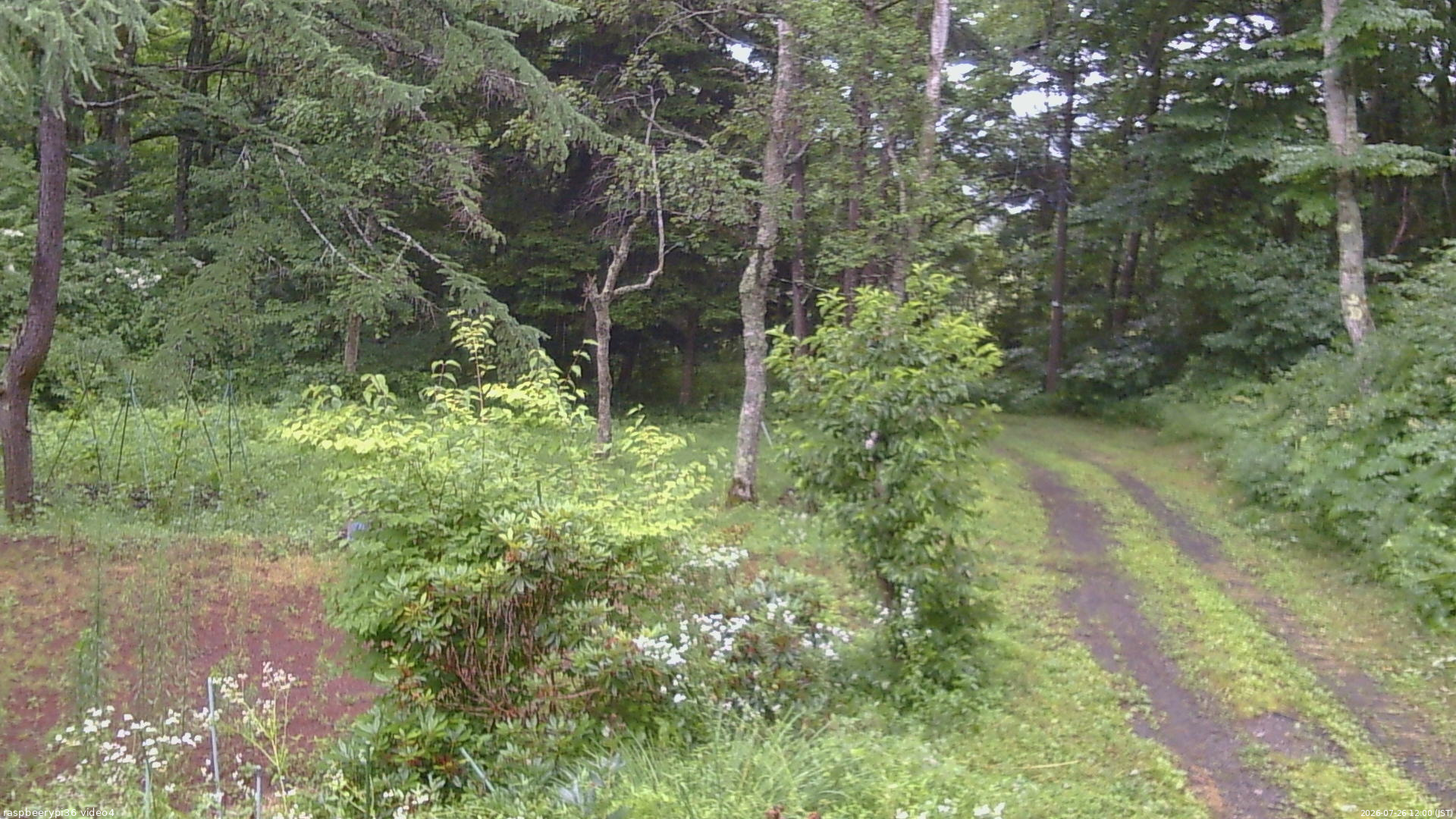 長野県菅平高原 ゆたか山荘 坂上 2026/07/26 12:00