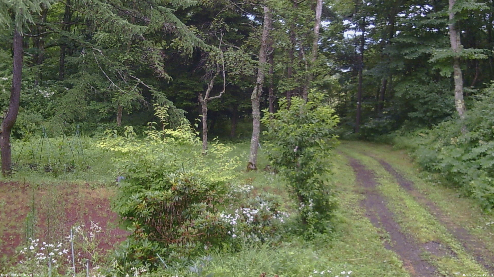 長野県菅平高原 ゆたか山荘 坂上 2026/07/26 12:45