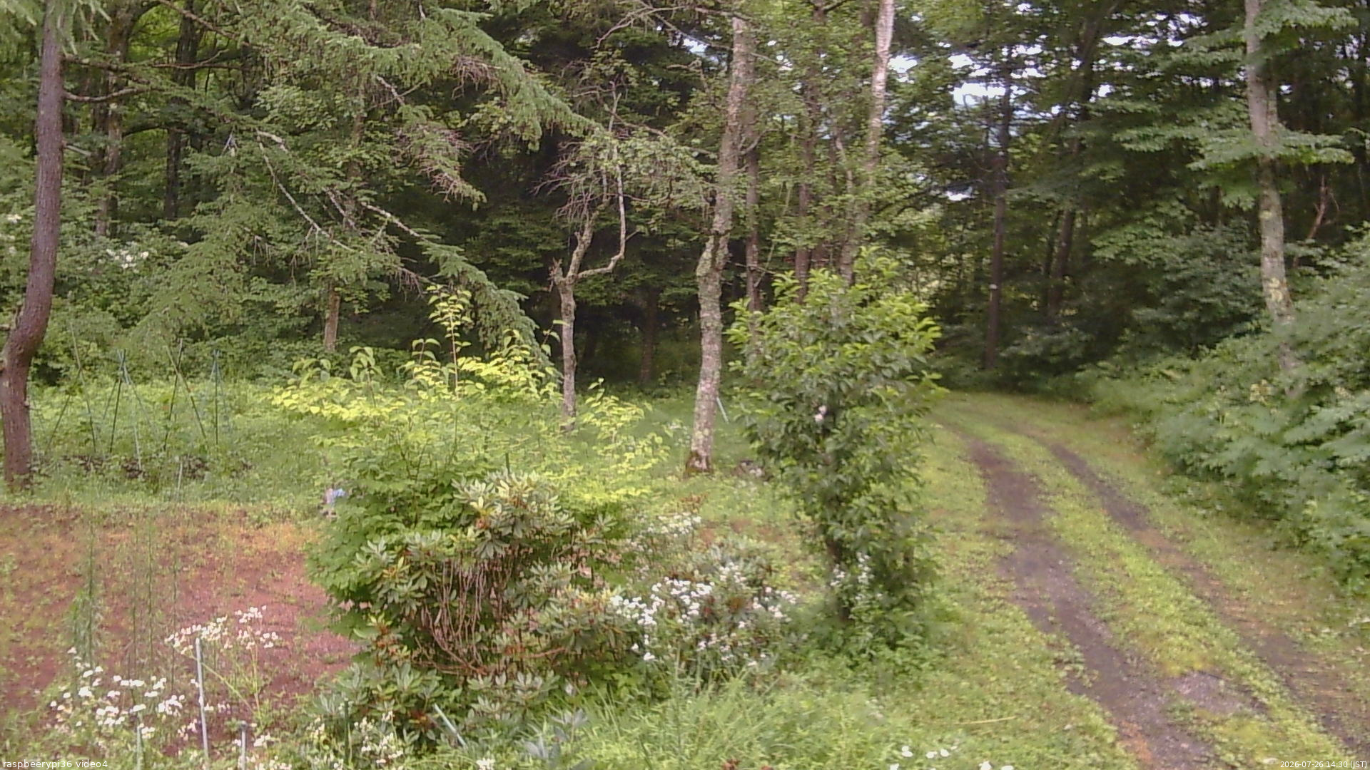 長野県菅平高原 ゆたか山荘 坂上 2026/07/26 14:30