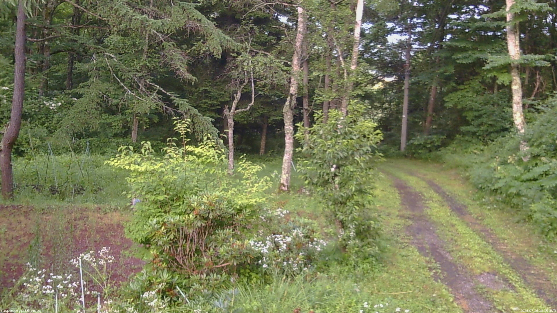 長野県菅平高原 ゆたか山荘 坂上 2026/07/26 18:15