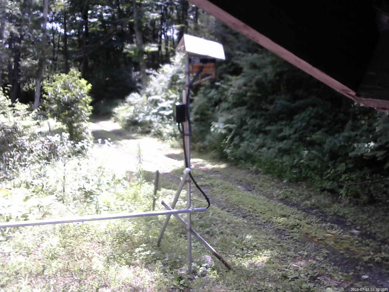 長野県菅平高原 ゆたか山荘 南側 2026/07/27 10:30