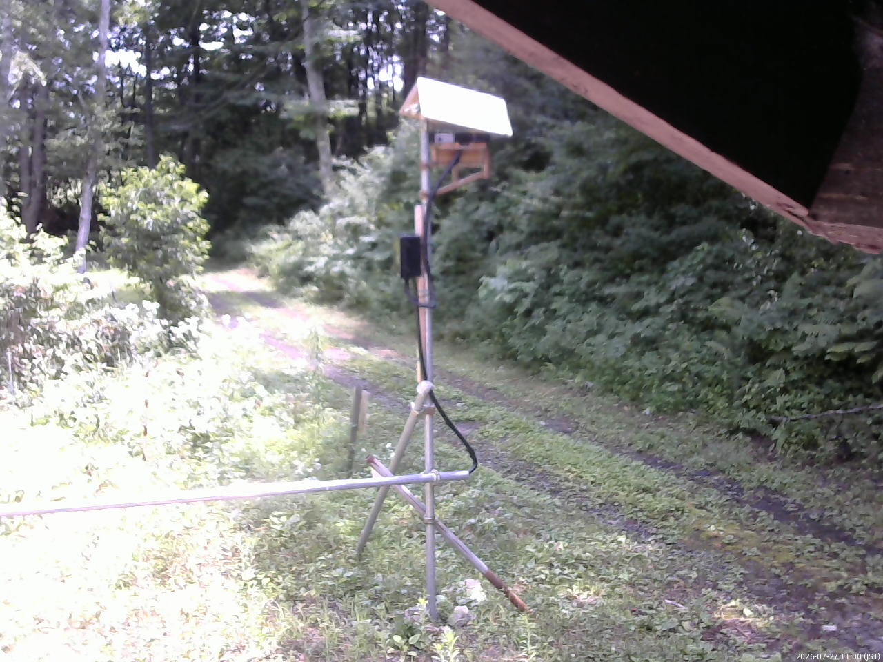 長野県菅平高原 ゆたか山荘 南側 2026/07/27 11:00