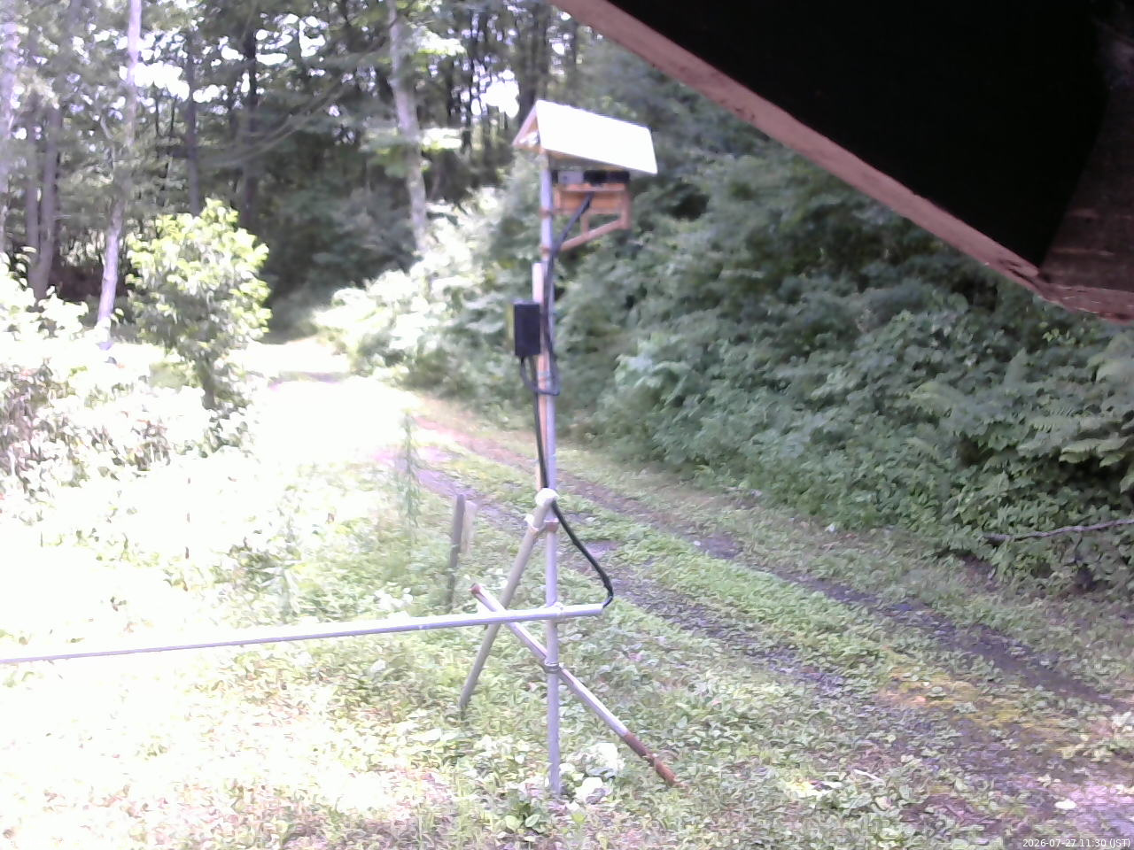 長野県菅平高原 ゆたか山荘 南側 2026/07/27 11:30