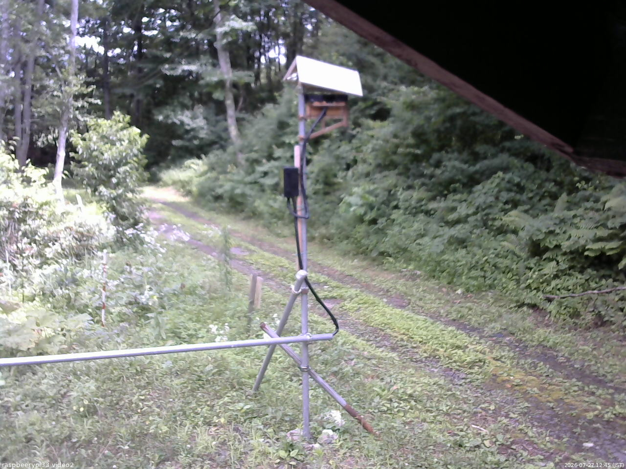 長野県菅平高原 ゆたか山荘 南側 2026/07/27 12:45