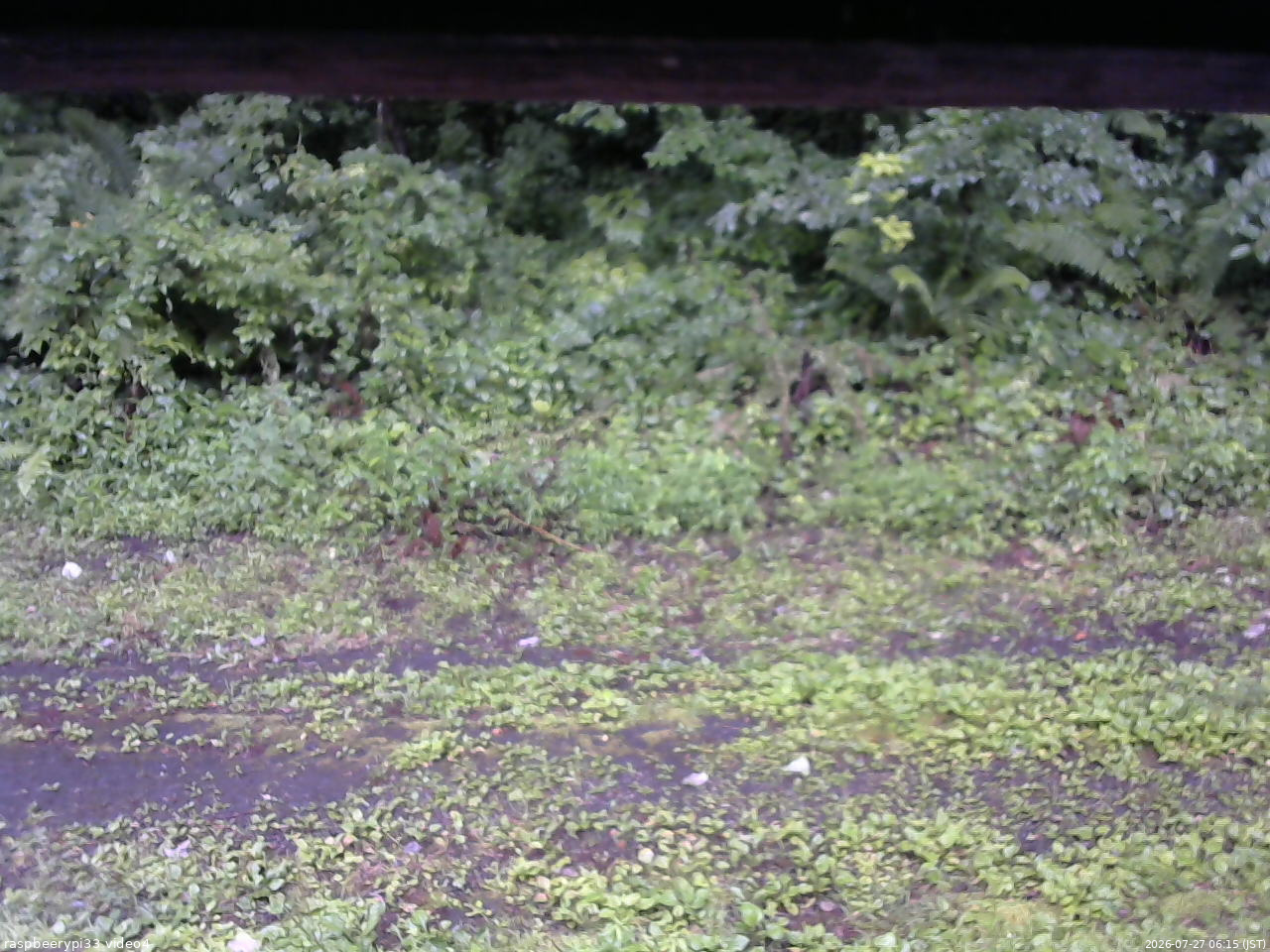 長野県菅平高原 ゆたか山荘 東側(坂下) 2026/07/27 06:15