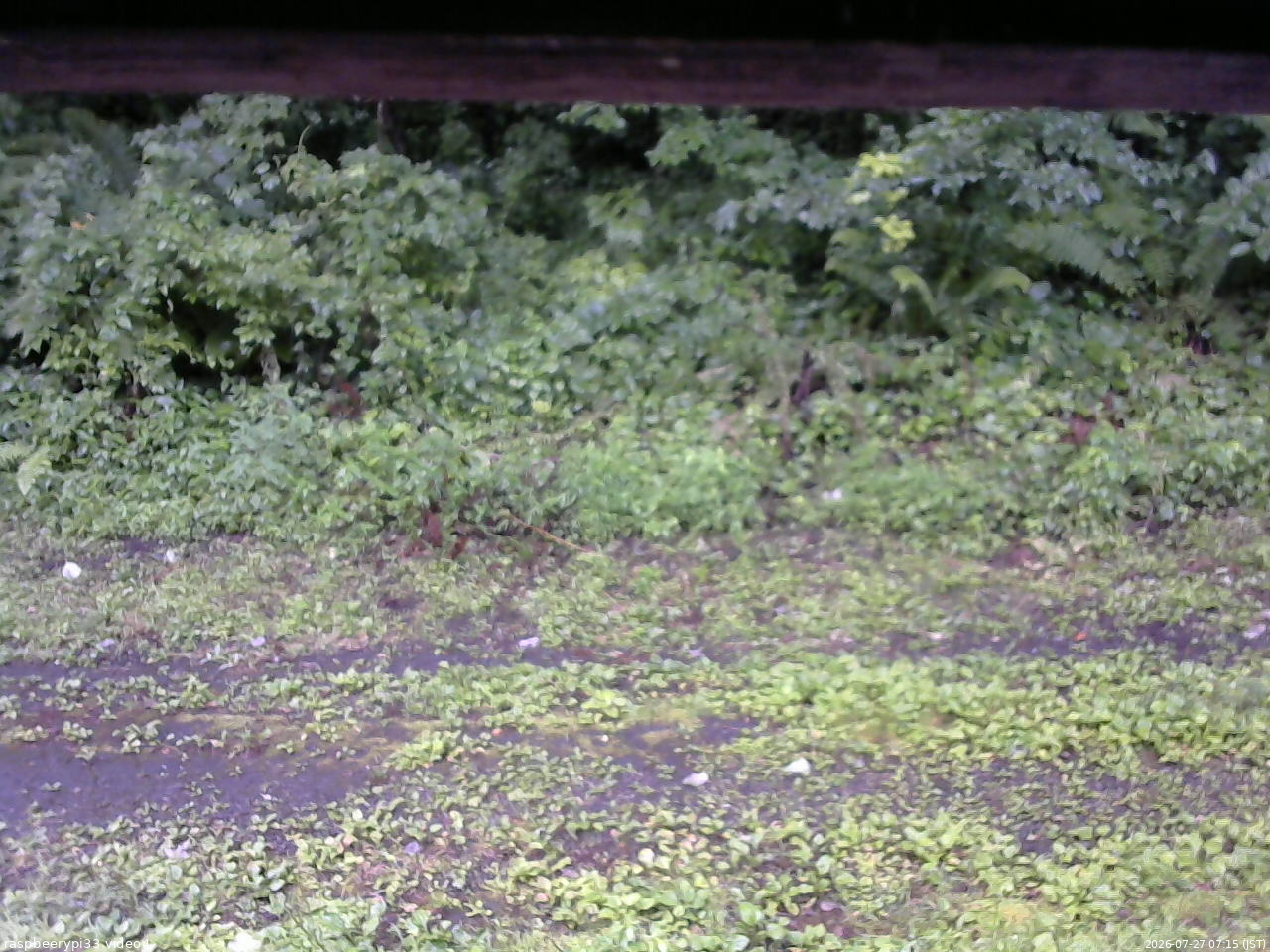 長野県菅平高原 ゆたか山荘 東側(坂下) 2026/07/27 07:15