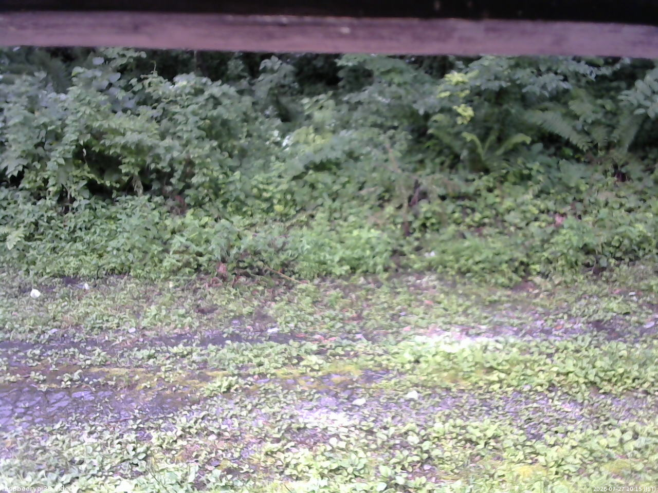 長野県菅平高原 ゆたか山荘 東側(坂下) 2026/07/27 10:15