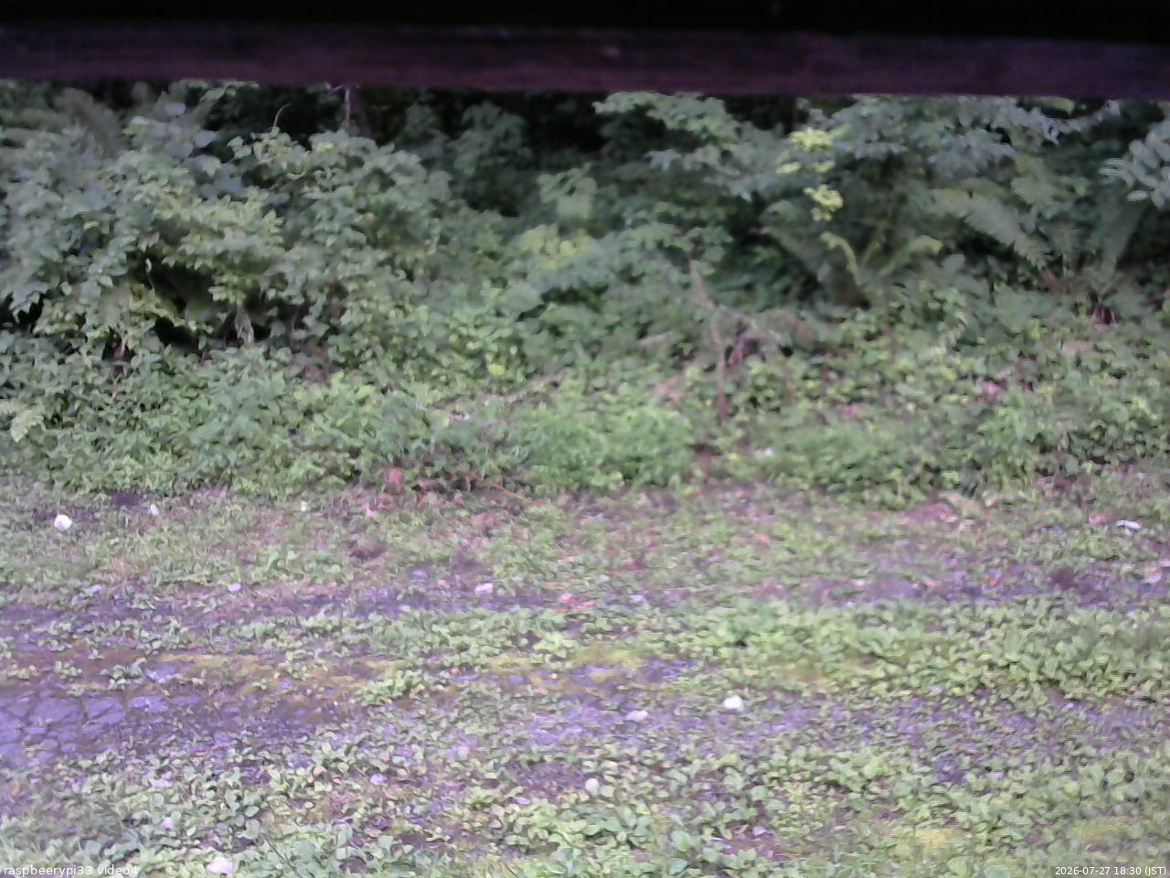 長野県菅平高原 ゆたか山荘 東側(坂下) 2026/07/27 18:30