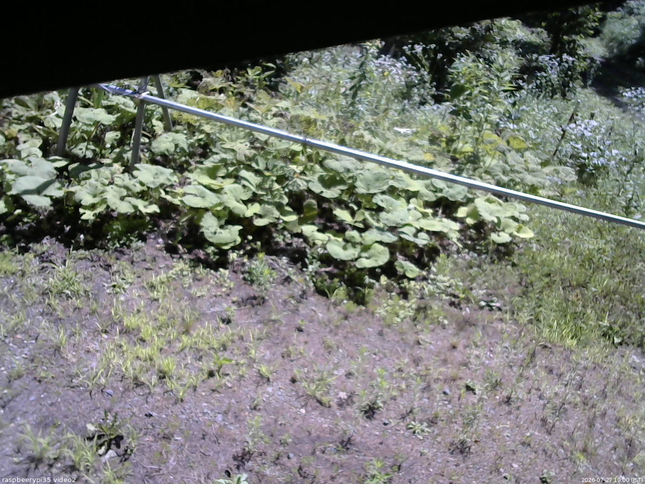 長野県菅平高原 ゆたか山荘 駐車場 2026/07/27 10:00