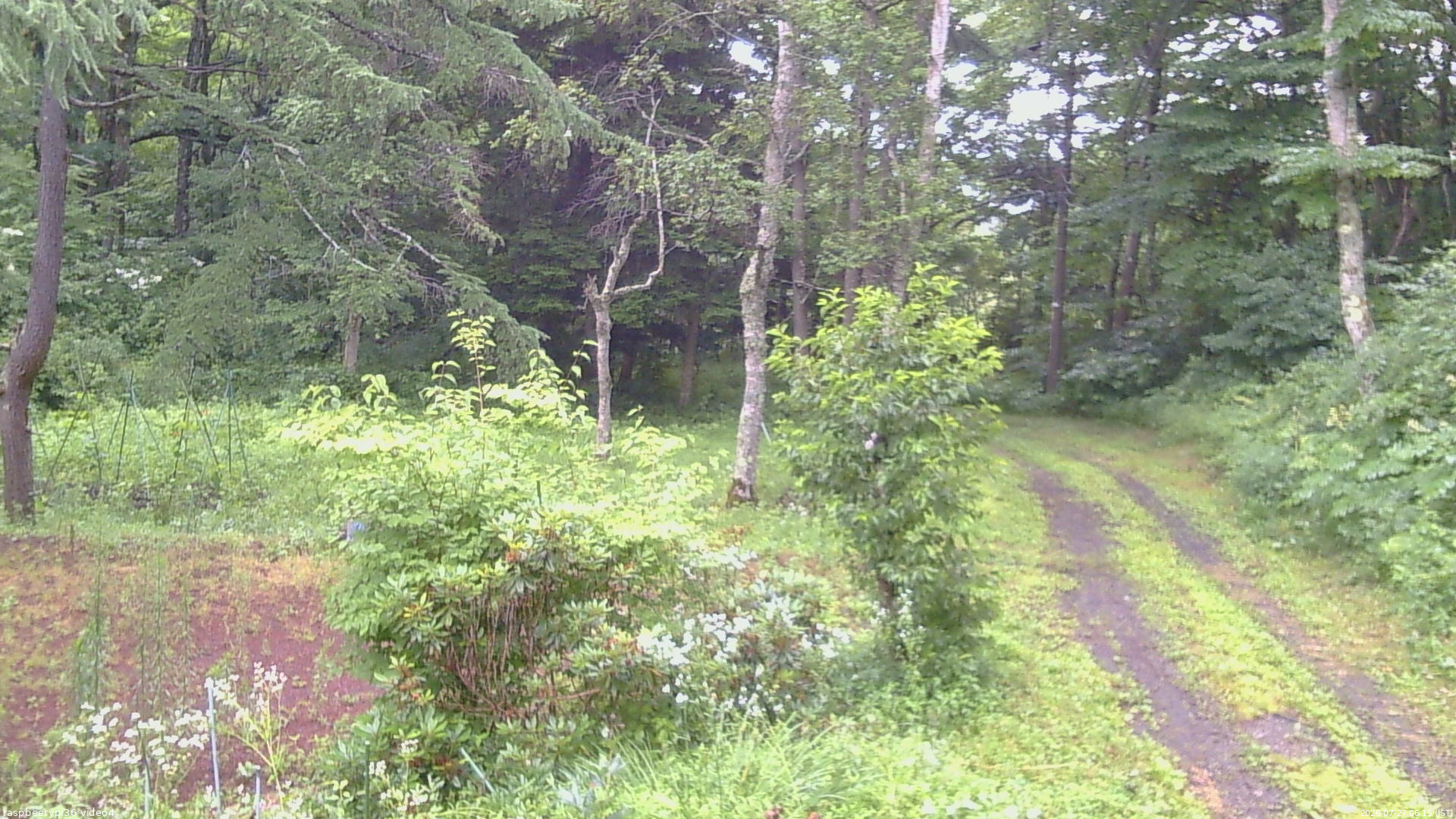 長野県菅平高原 ゆたか山荘 坂上 2026/07/27 06:15