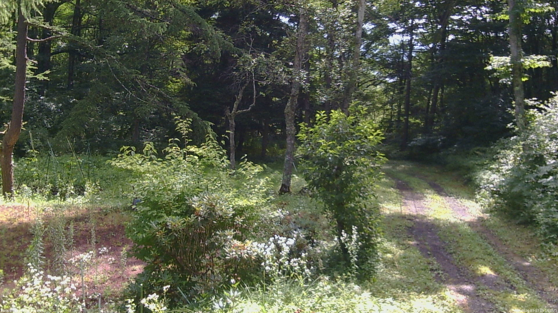 長野県菅平高原 ゆたか山荘 坂上 2026/07/27 09:15