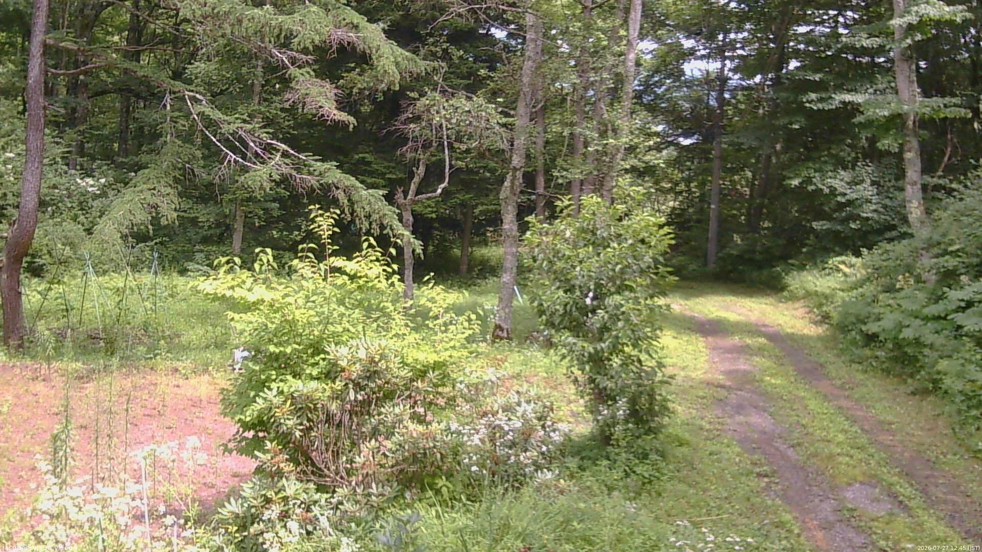 長野県菅平高原 ゆたか山荘 坂上 2026/07/27 12:45