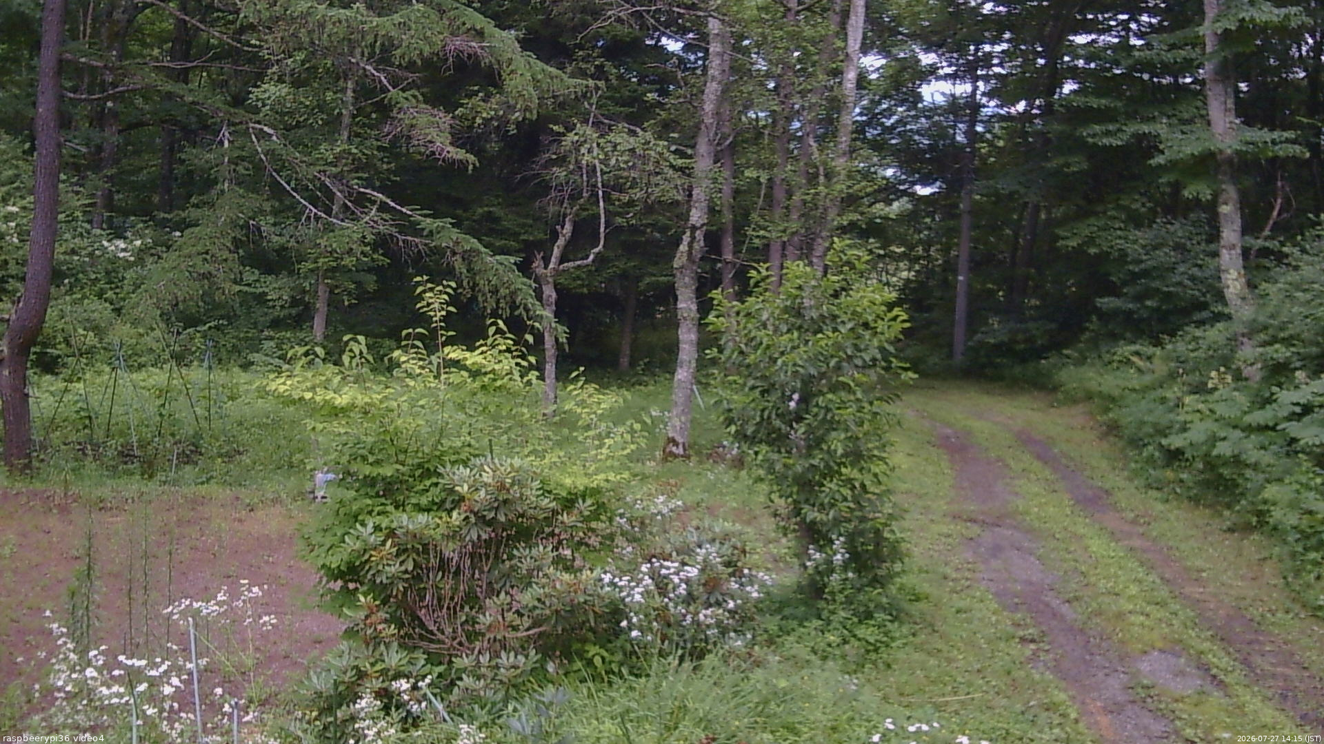 長野県菅平高原 ゆたか山荘 坂上 2026/07/27 14:15