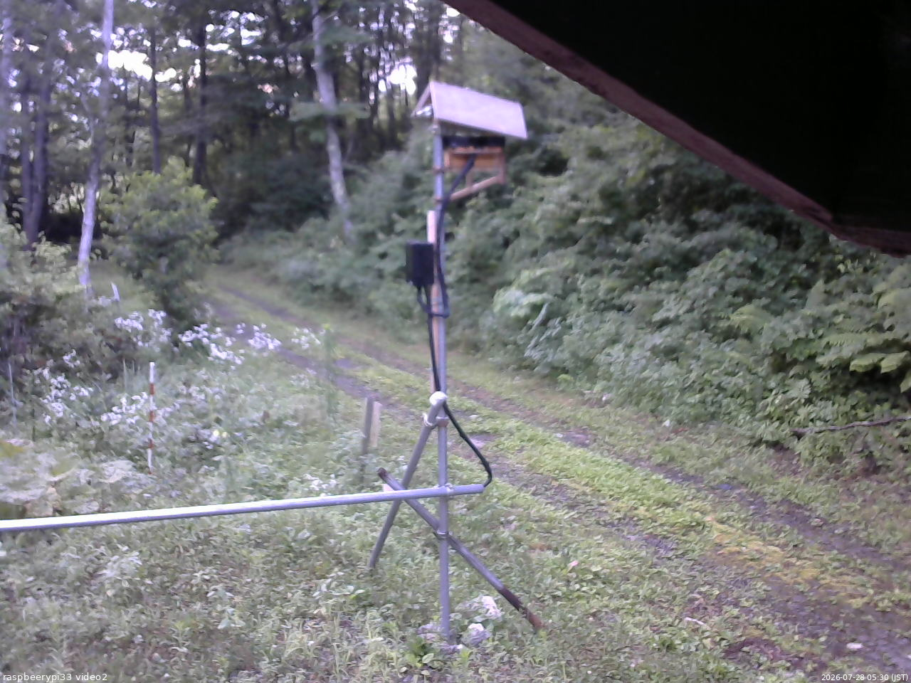 長野県菅平高原 ゆたか山荘 南側 2026/07/28 05:30
