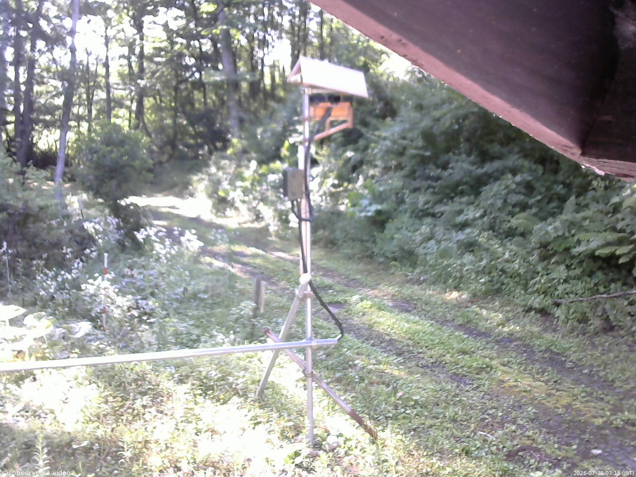 長野県菅平高原 ゆたか山荘 南側 2026/07/28 07:15
